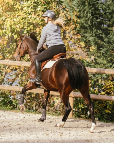 elevage-courses-bssgaPaJ